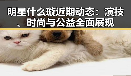 明星什么璇近期动态：演技、时尚与公益全面展现