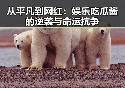 从平凡到网红：娱乐吃瓜酱的逆袭与命运抗争